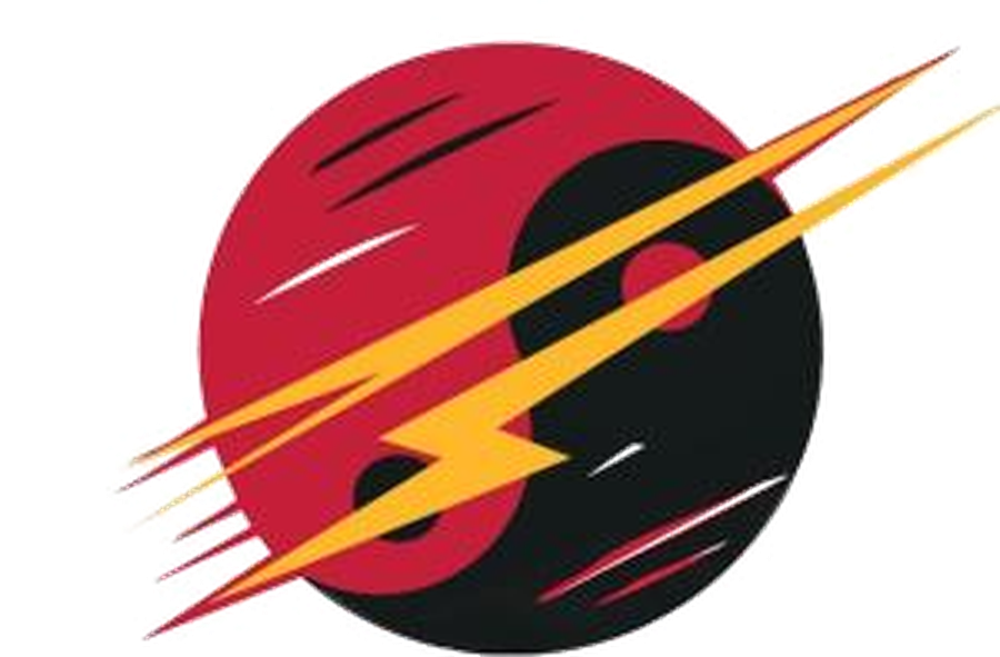 Lightning Hands Wing Chun Kung Fu